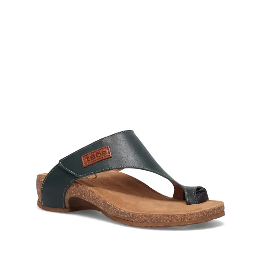 Cover image of EVERGREEN Taos Loop Women's