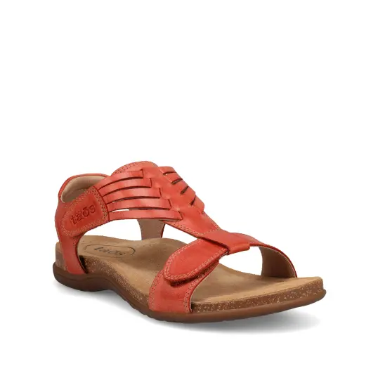 Cover image of BRUSCHETTA Taos Wonderful Women's