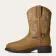 Alternate Image of BROWN Ariat Krista MetGuard Steel Toe Women's