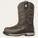 Alternate Image of DARK BROWN Ariat Riveter CSA Waterproof Comp Toe Women's