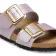 Alternate Image of Graceful Orchid Birkenstock Sydney Luxe Buckle Birko-Flor Narrow Women's