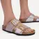 Alternate Image of Graceful Orchid Birkenstock Sydney Luxe Buckle Birko-Flor Narrow Women's