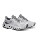 Alternate Image of FROST/WHITE On Cloudrunner 2 Women's
