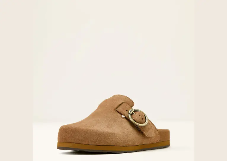 Image 1 of Ariat Country Mule Women's