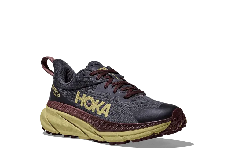 Image 1 of Hoka Challenger ATR 7 GTX Women's