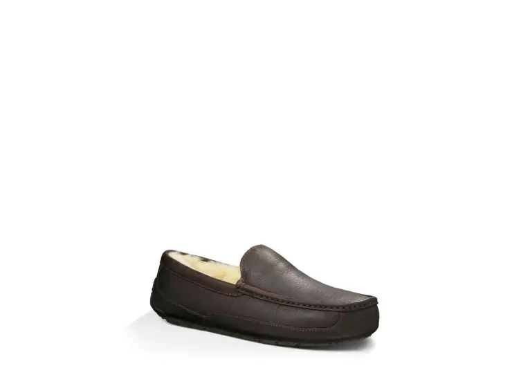Image 1 of UGG Ascot Men's