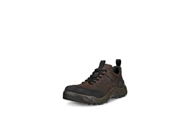 Image 1 of Ecco Offroad Waterproof Shoe Men's