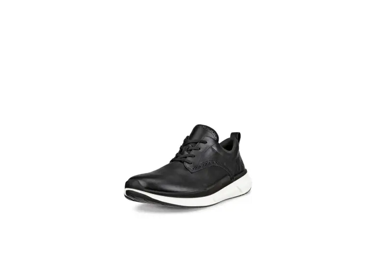 Image 1 of Ecco Biom 2.2 Hybrid Men's