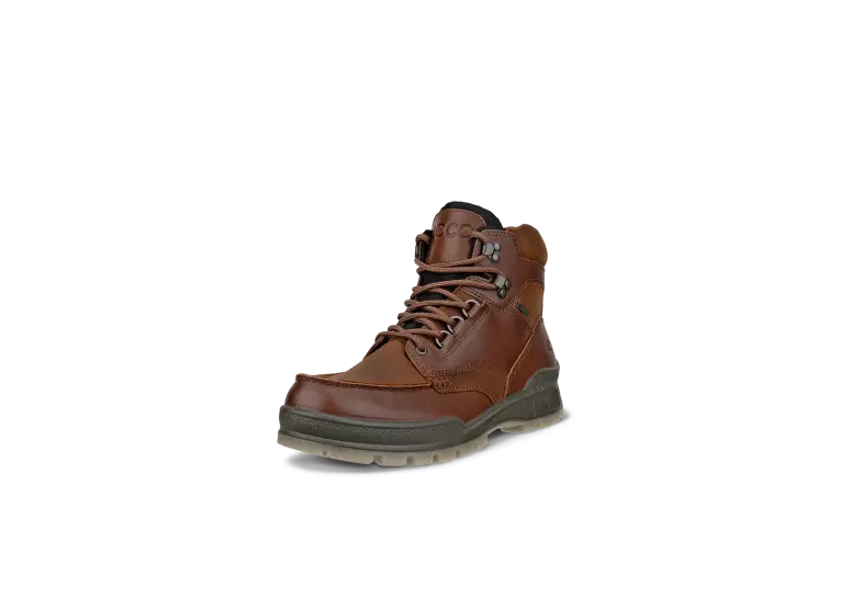 Image 1 of Ecco Track 25 Mid GTX Men's