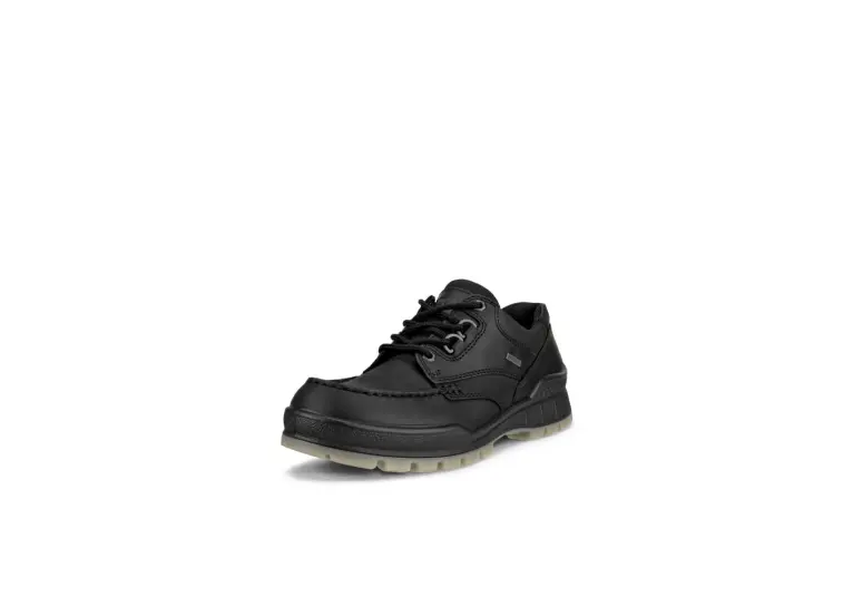 Image 1 of Ecco Track 25 Low GTX Men's