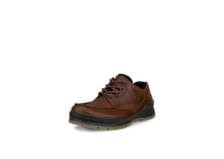 Image 1 of Ecco Track 25 Low GTX Men's