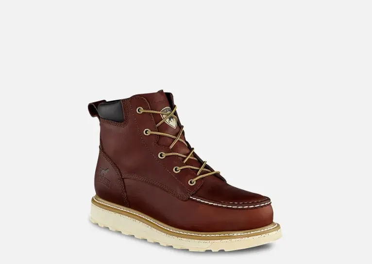 Image 1 of Irish Setter Ashby 6