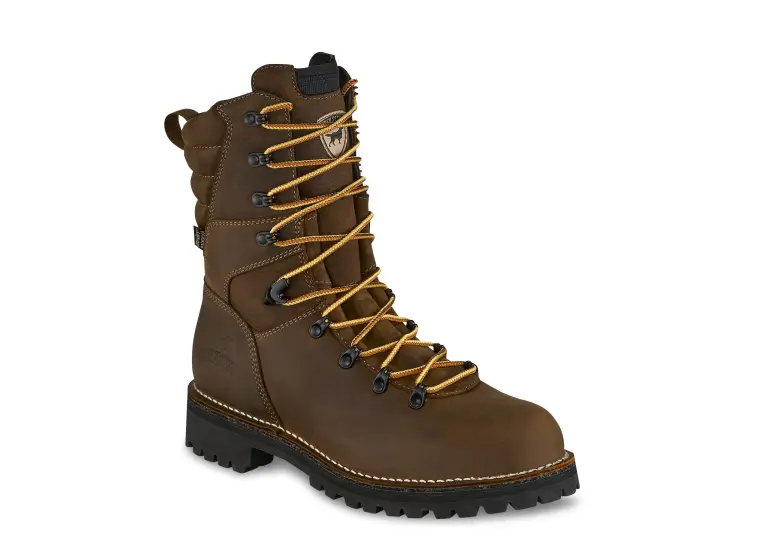 Image 1 of Irish Setter Shorewood 9