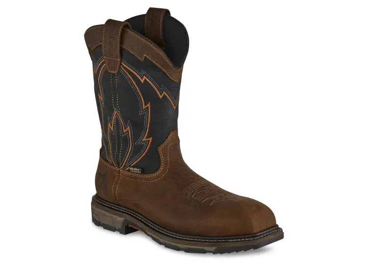 Image 1 of Irish Setter 11