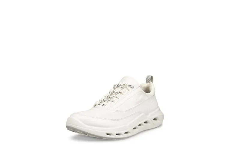 Image 1 of Ecco Biom 720 Lea GTX Women's