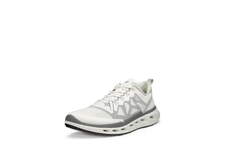 Image 1 of Ecco Biom 720 Breathru Men's