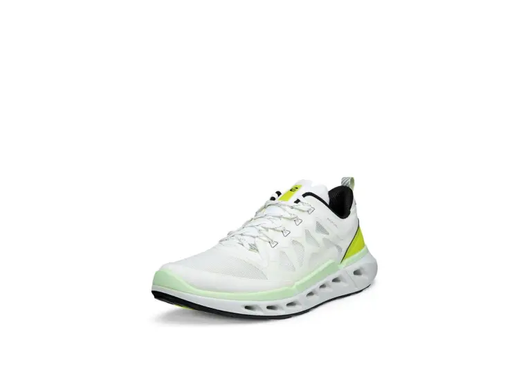 Image 1 of Ecco Biom 720 Breathru Men's