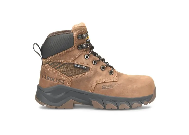 Image 1 of Carolina Sage 6