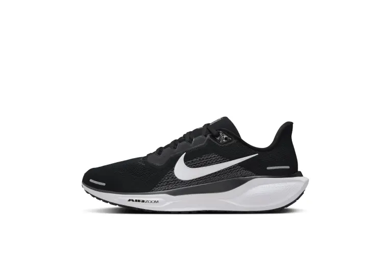 Image 1 of Nike Pegasus 41 Men's